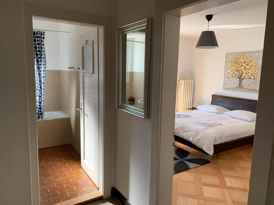 Sunny studio in the city center (Oken1)