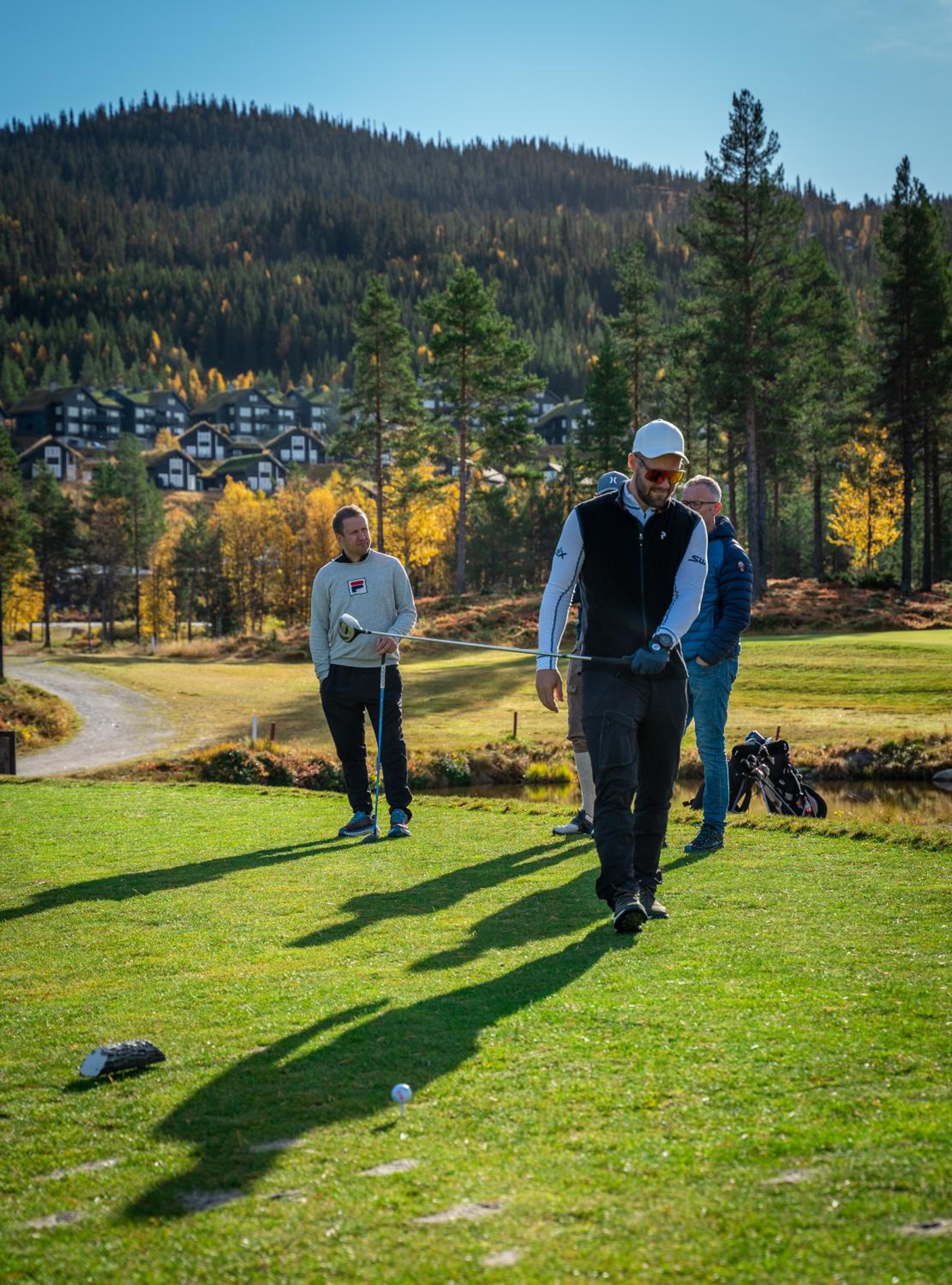 Nesfjellet