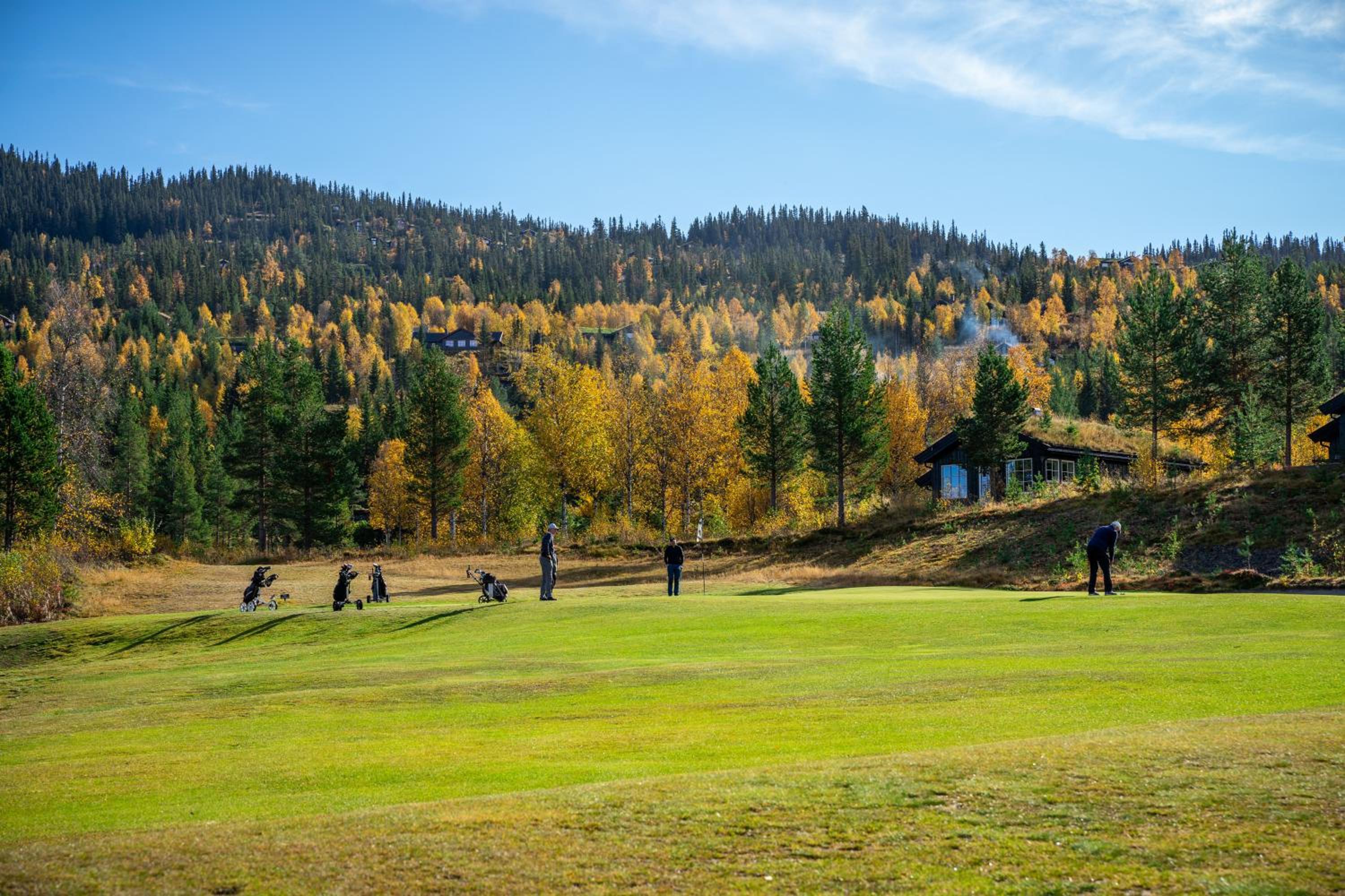 Nesfjellet