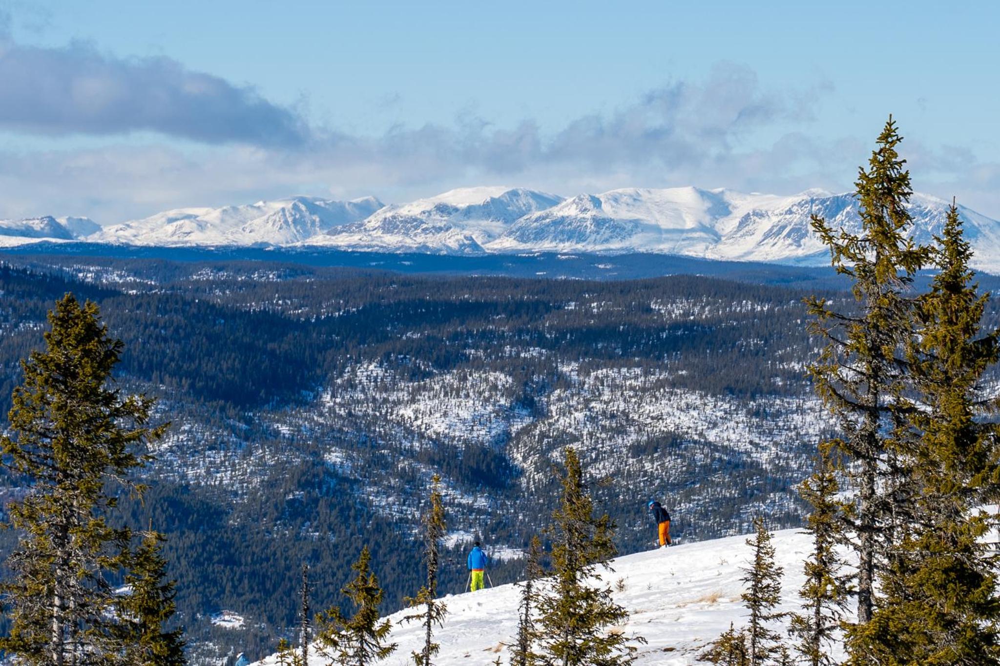 Nesfjellet