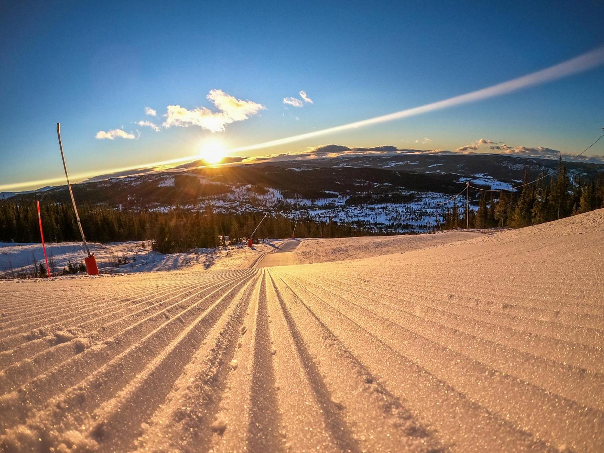 Nesfjellet