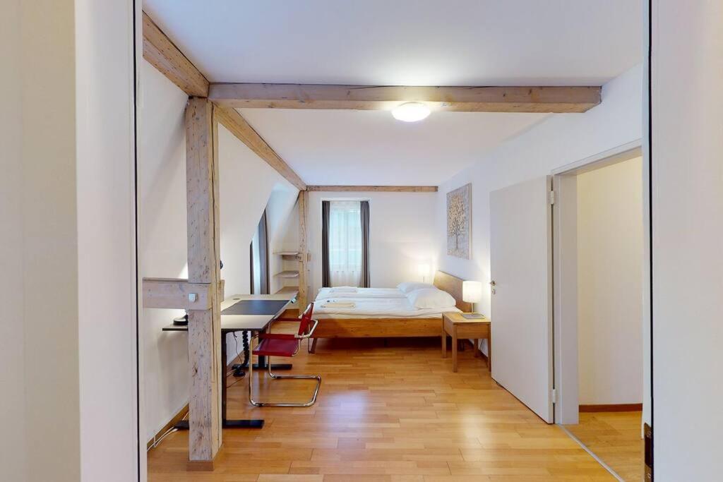 Penthouse flat in the city center/near lake (SF18)