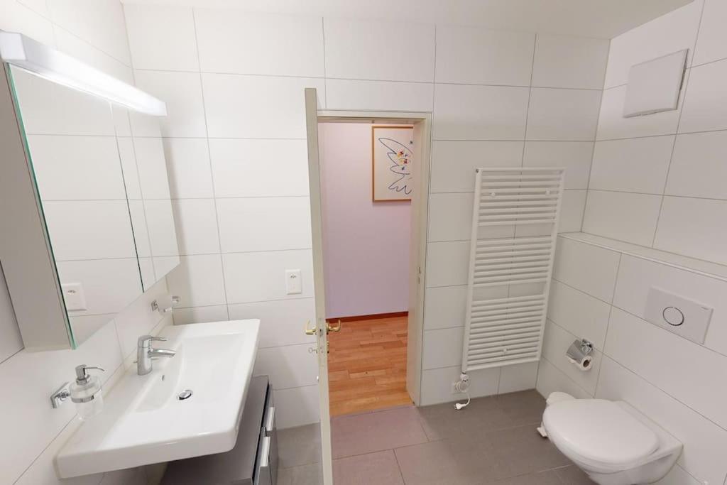 Penthouse flat in the city center/near lake (SF18)