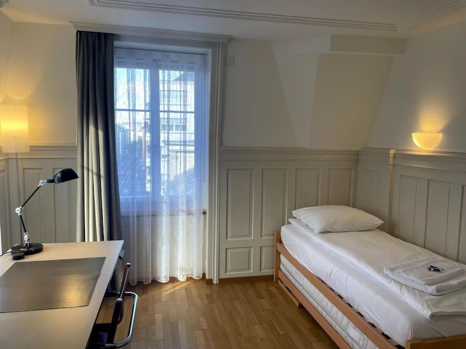 Penthouse flat in the city center/near lake (SF18)