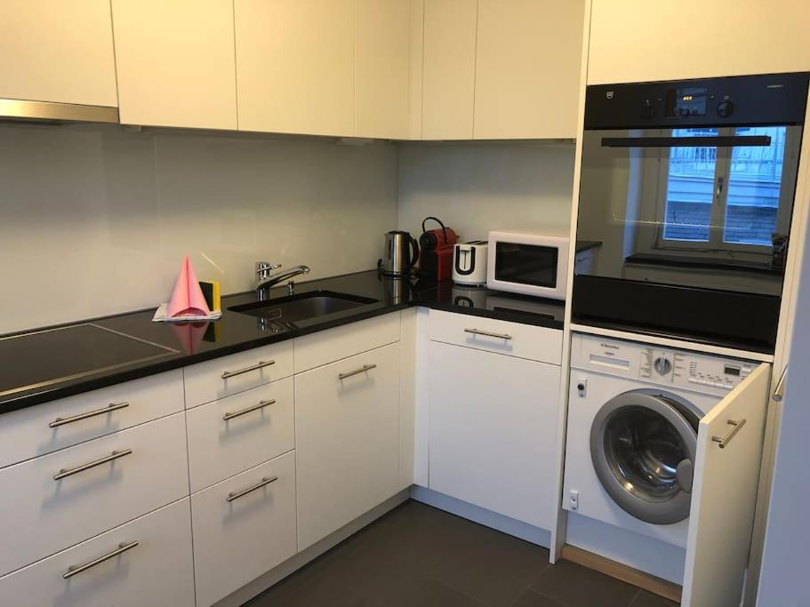 Penthouse flat in the city center/near lake (SF18)