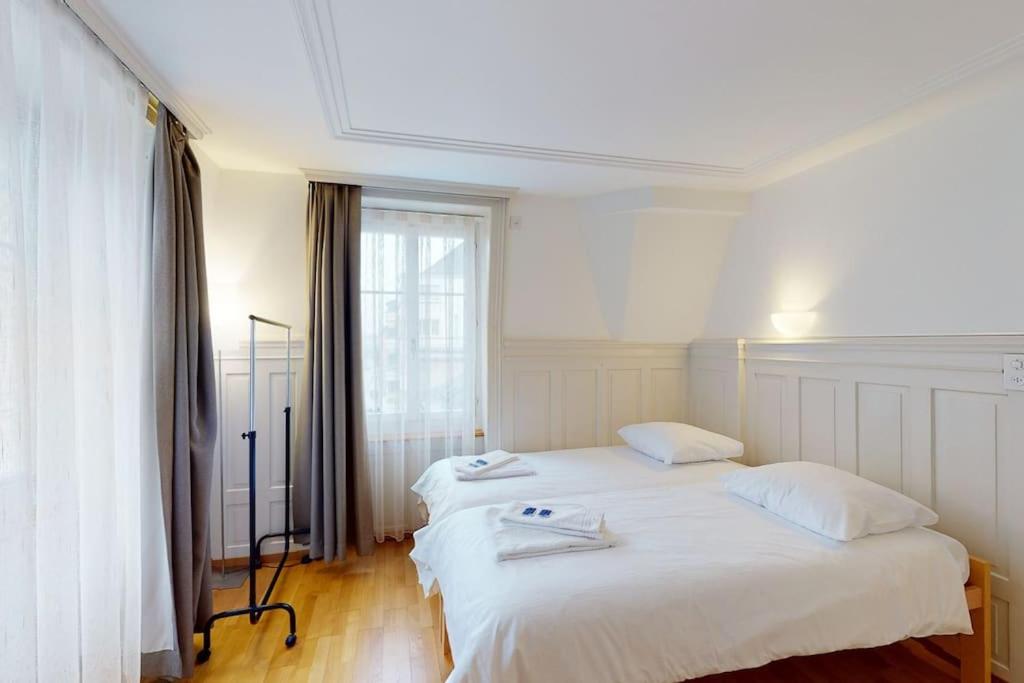 Penthouse flat in the city center/near lake (SF18)