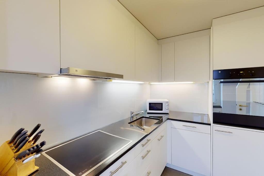Penthouse flat in the city center/near lake (SF18)