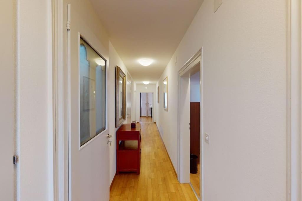 Penthouse flat in the city center/near lake (SF18)