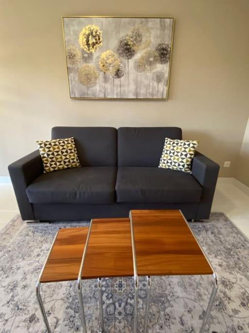 Fancy 1 bedroom flat in the city center (SF19)
