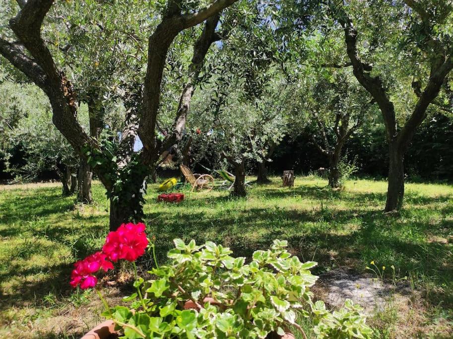 Appartamento Dai Nonni San Giovanni in Marignano photo 5