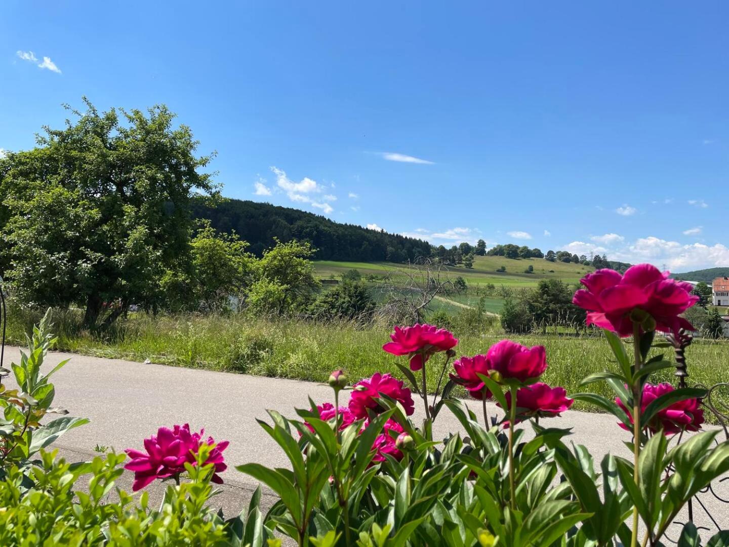 Haus Rosa