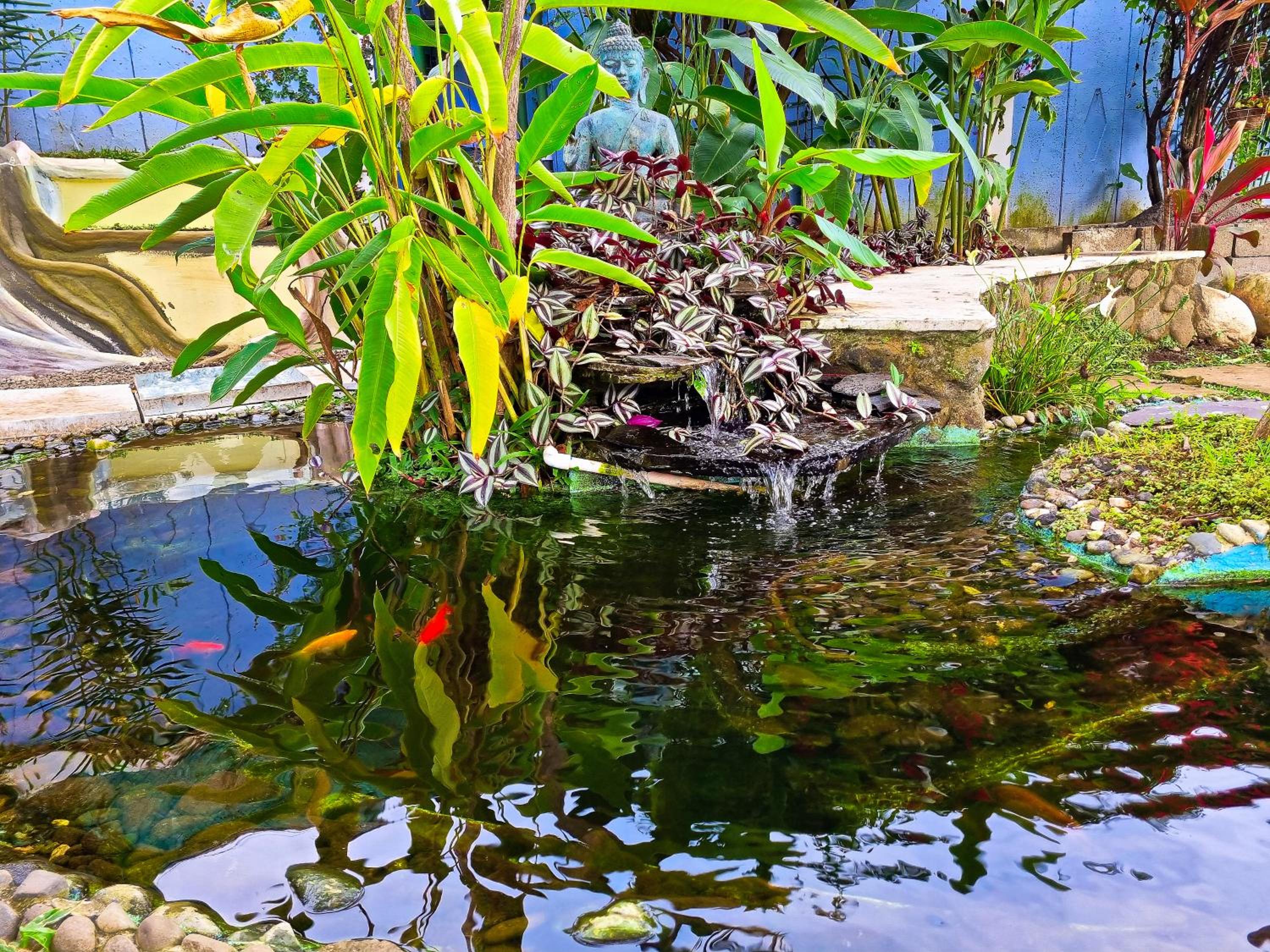 Casa Jardin del Mango, photo 44