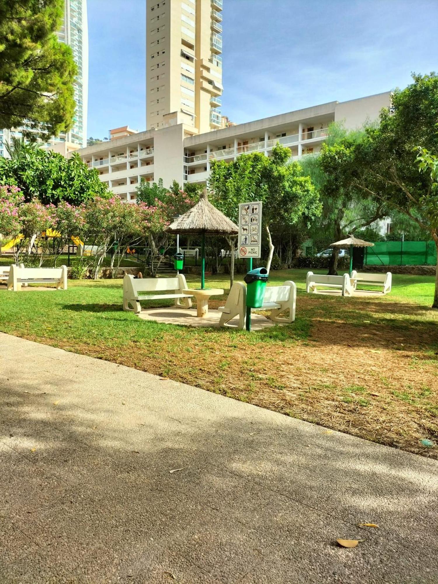 Photo 10