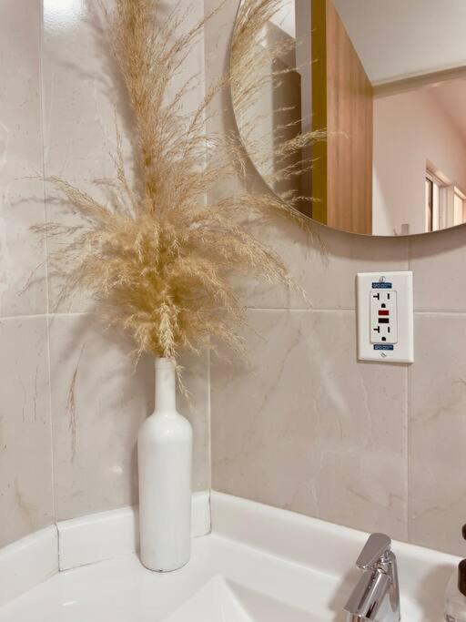 Apartaestudio, súper plan para parejas.