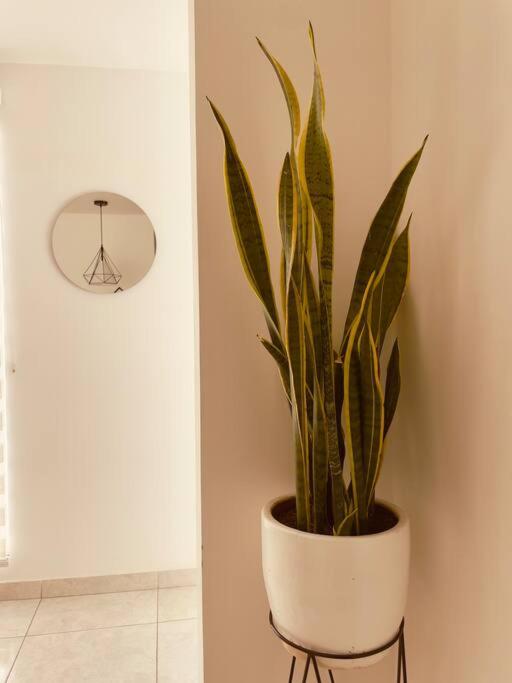 Apartaestudio, súper plan para parejas.