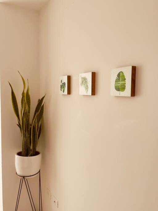 Apartaestudio, súper plan para parejas.