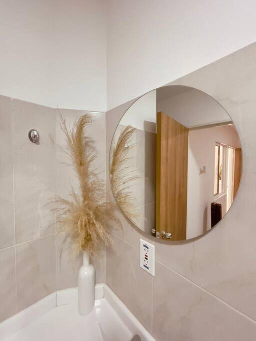 Apartaestudio, súper plan para parejas.