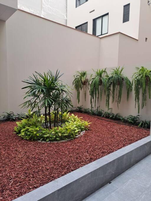 Lujoso Apartamento Ejecutivo en centro San Isidro view 3