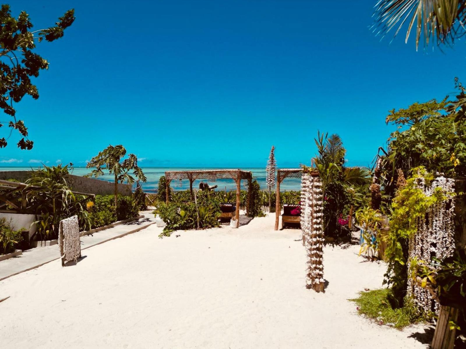 Boheme Zanzibar
