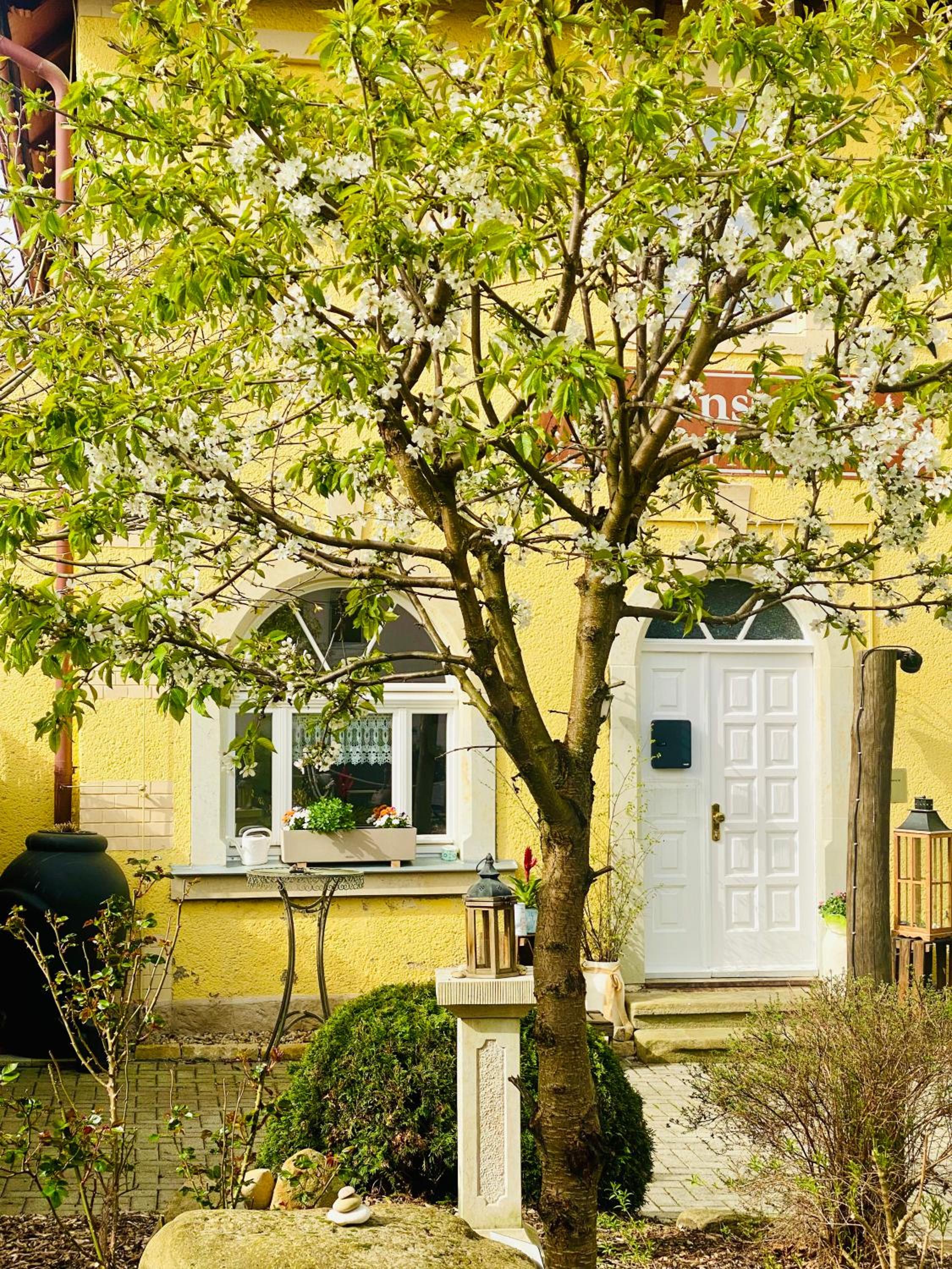 Restaurant und Pension Zur Puppenstube view 5