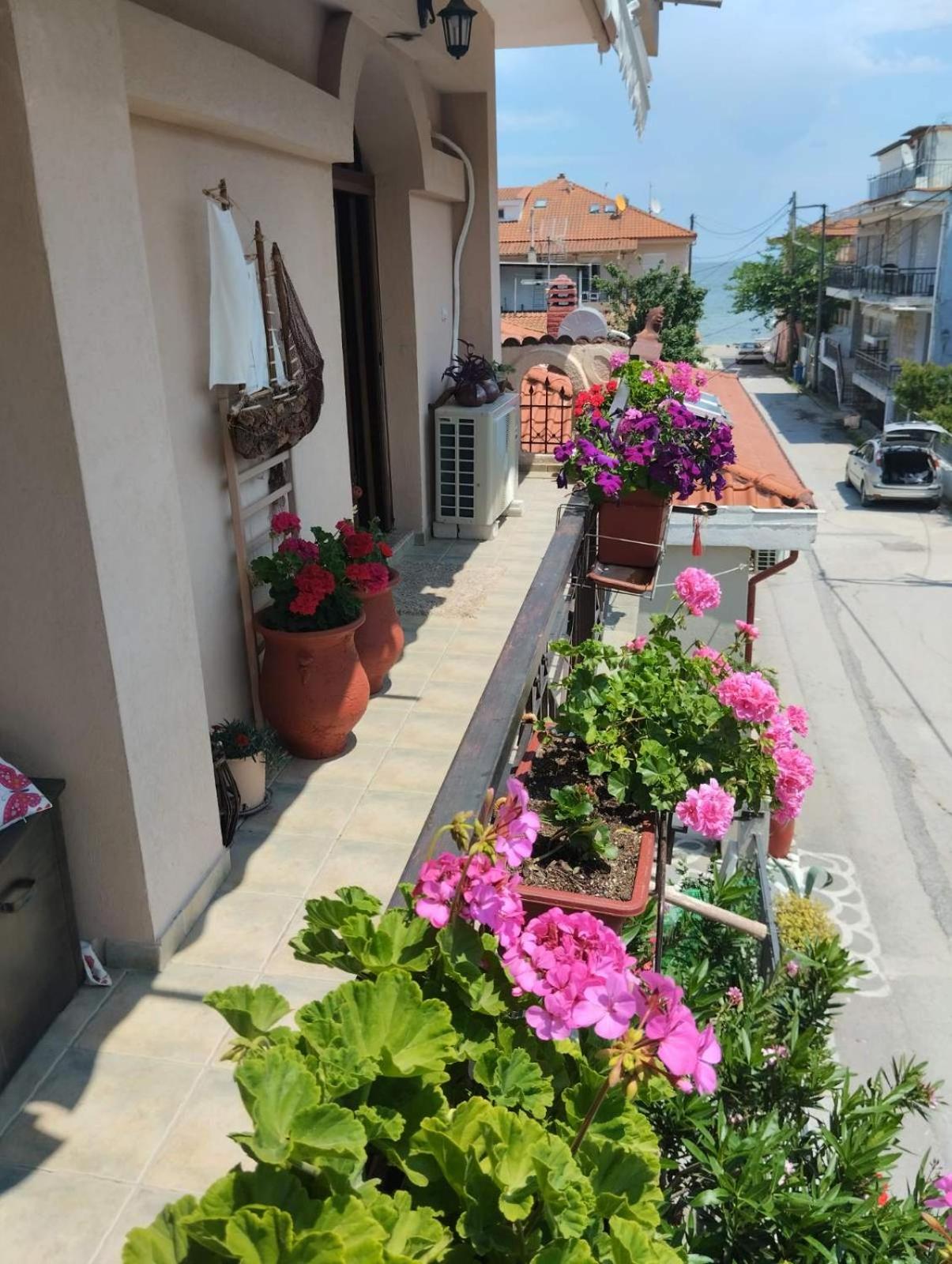 Sunrise Suite Olympiada - Luxury Beachfront Escape
