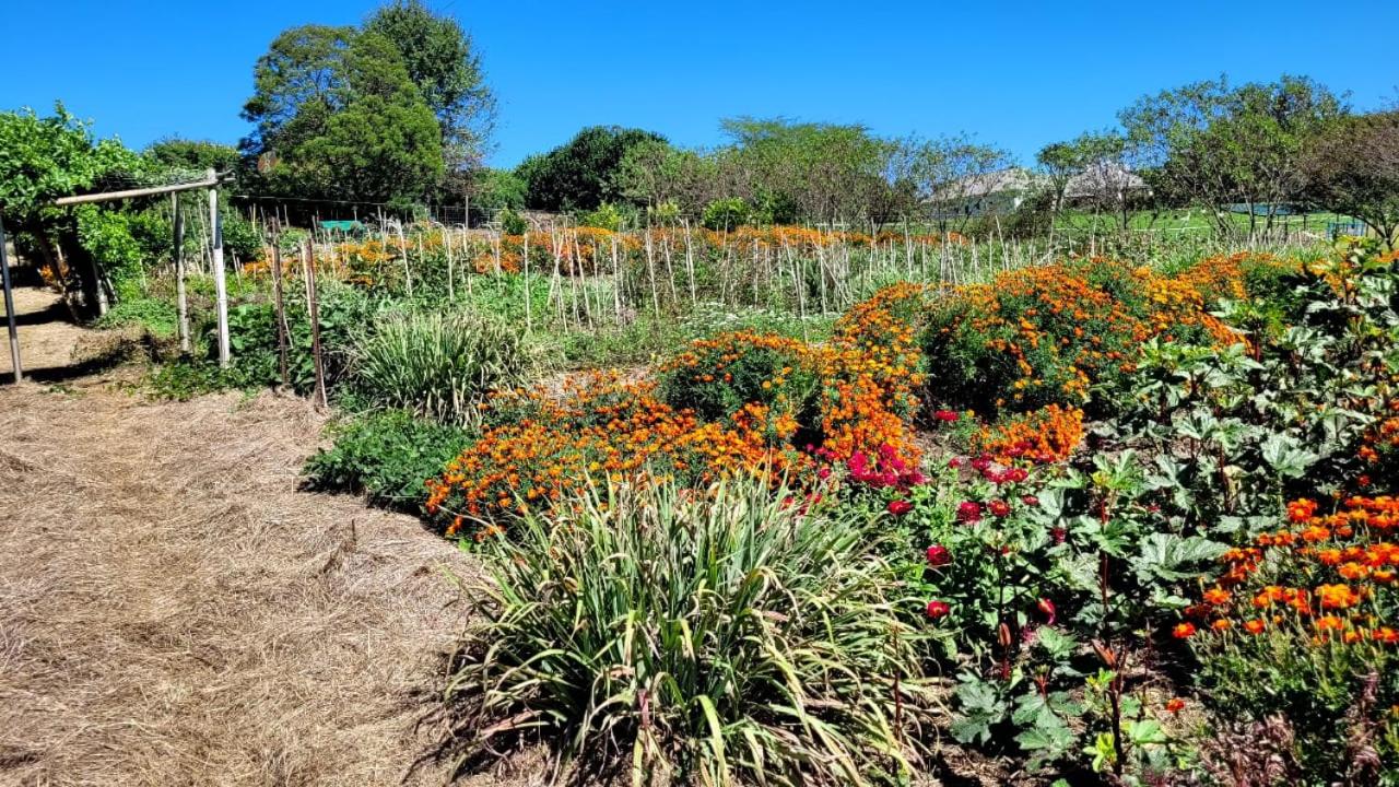 ReRooted Permaculture Farmstay