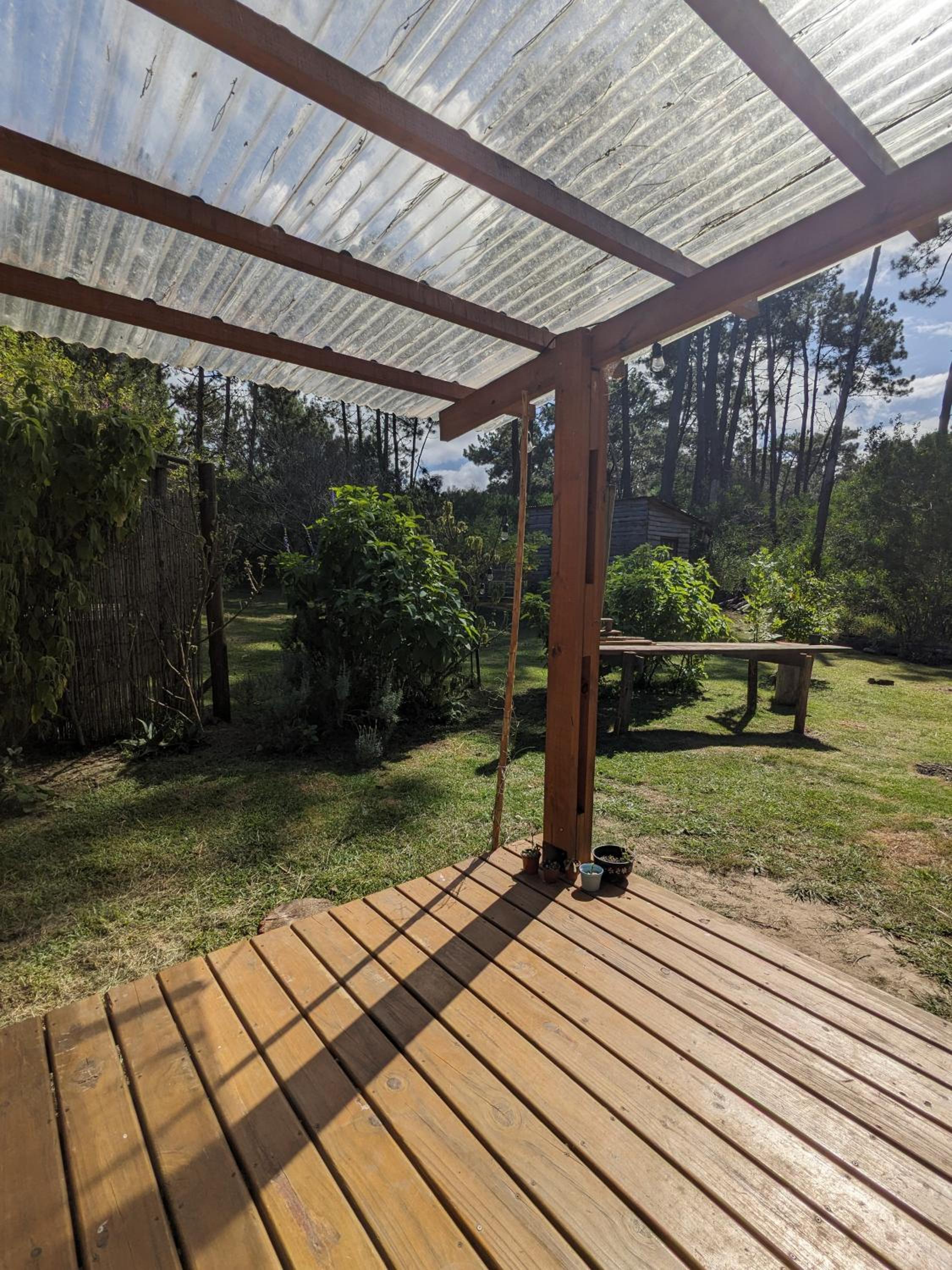 Photo 16