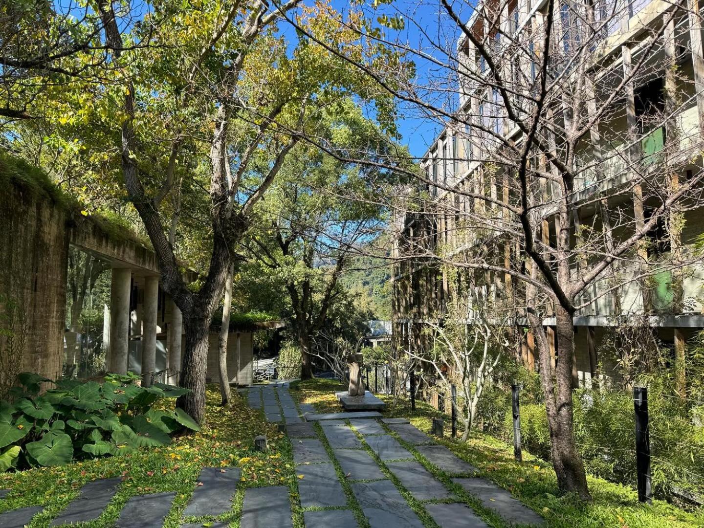 Onsen Papawaqa