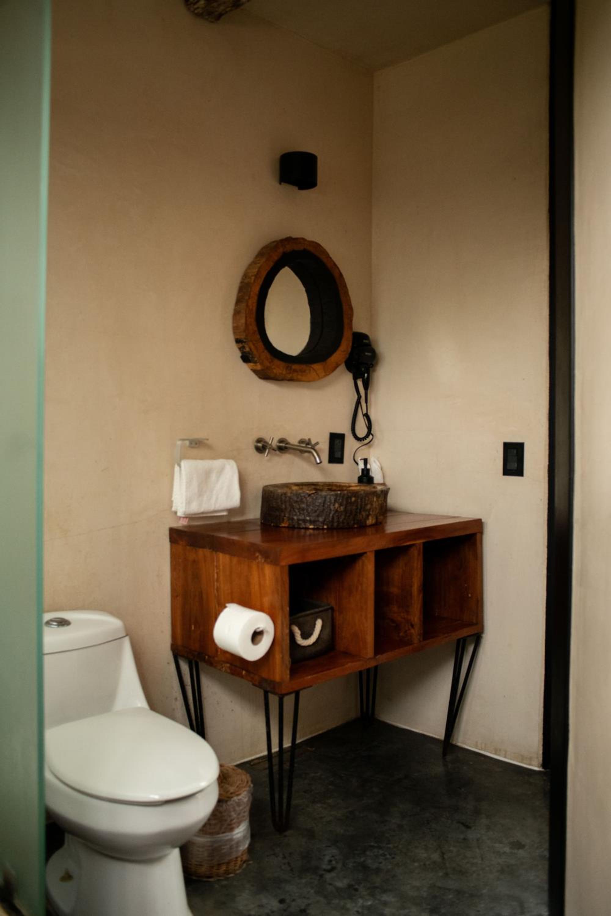 Bufo Alvarius - Property Image 29