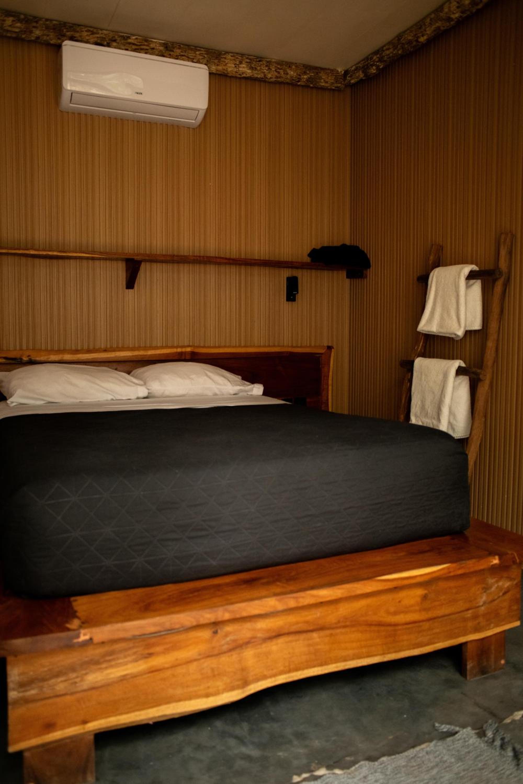 Bufo Alvarius - Property Image 37