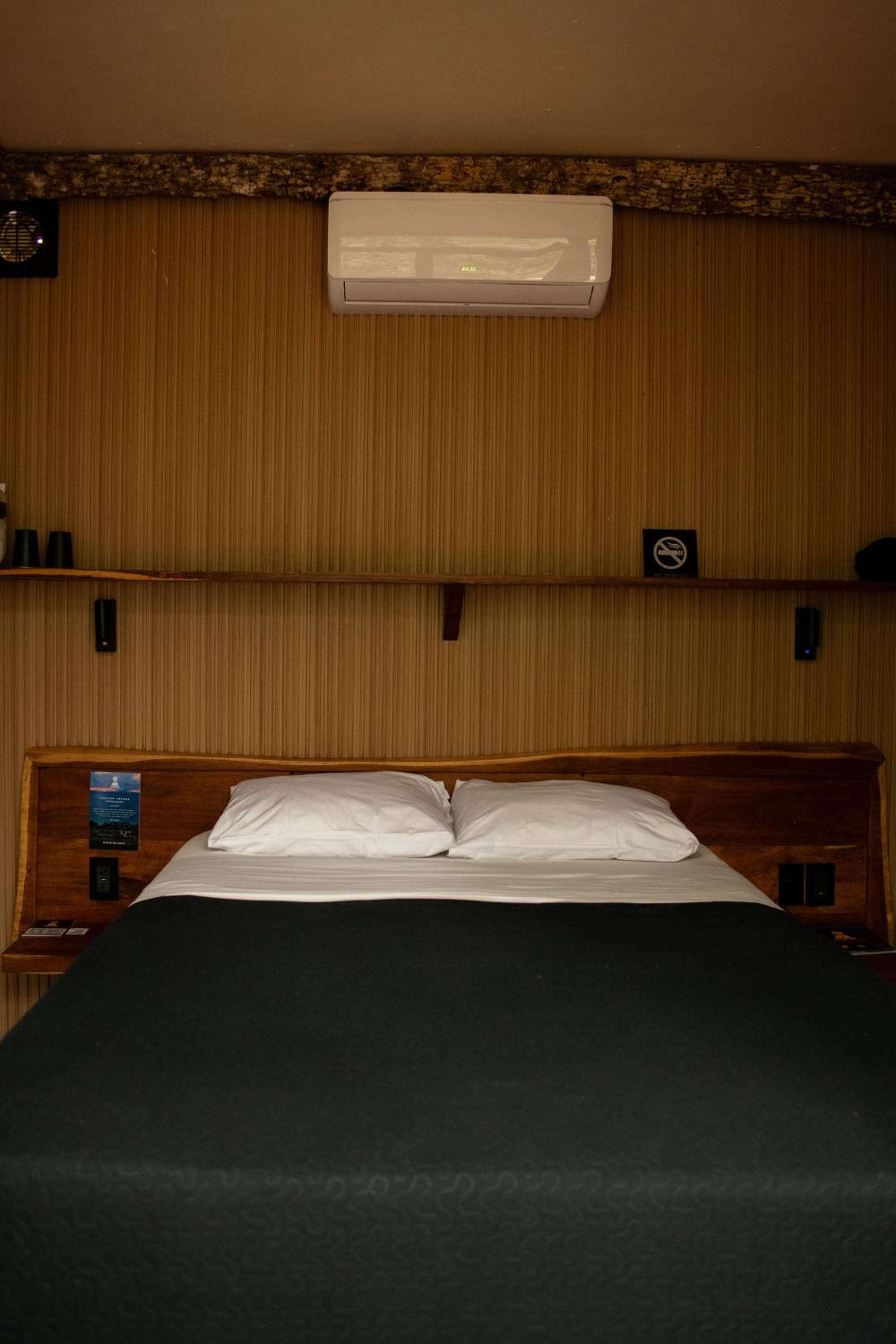 Bufo Alvarius - Property Image 32