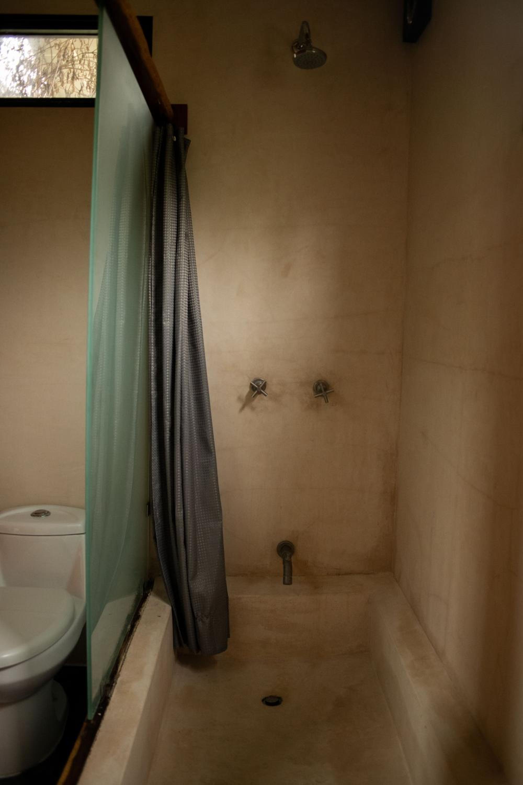 Bufo Alvarius - Property Image 27