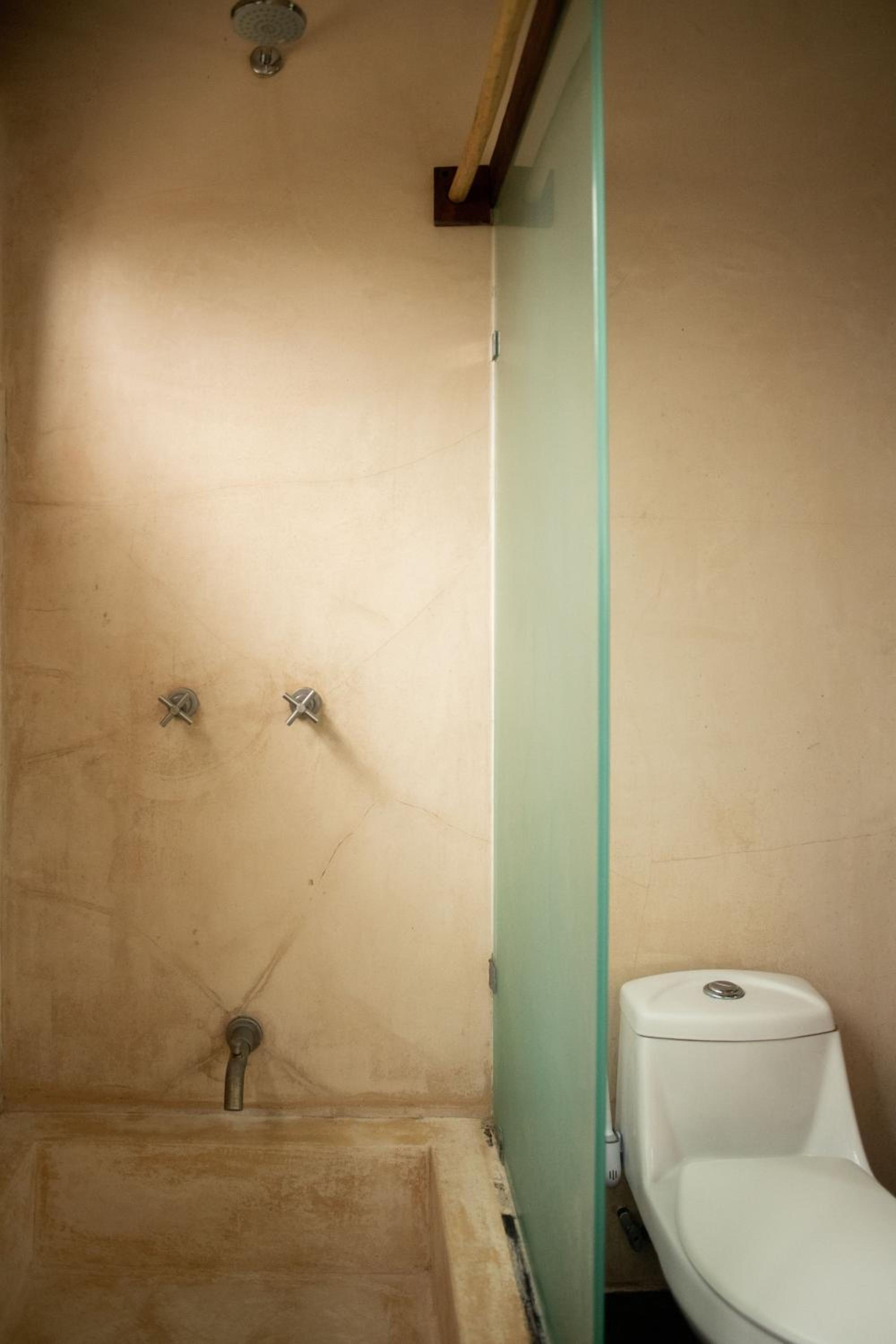 Bufo Alvarius - Property Image 26