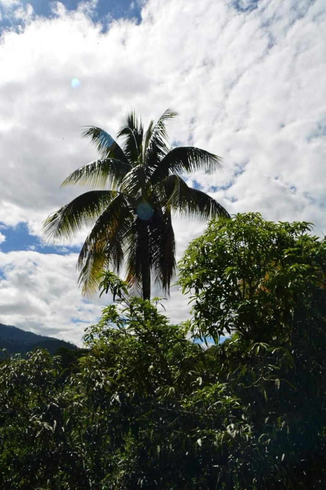 Finca Villa Rosita-Tu Paraíso Campestre cerca de Bogotá