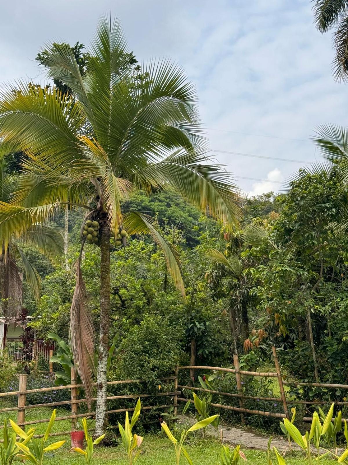 Finca Villa Rosita-Tu Paraíso Campestre cerca de Bogotá