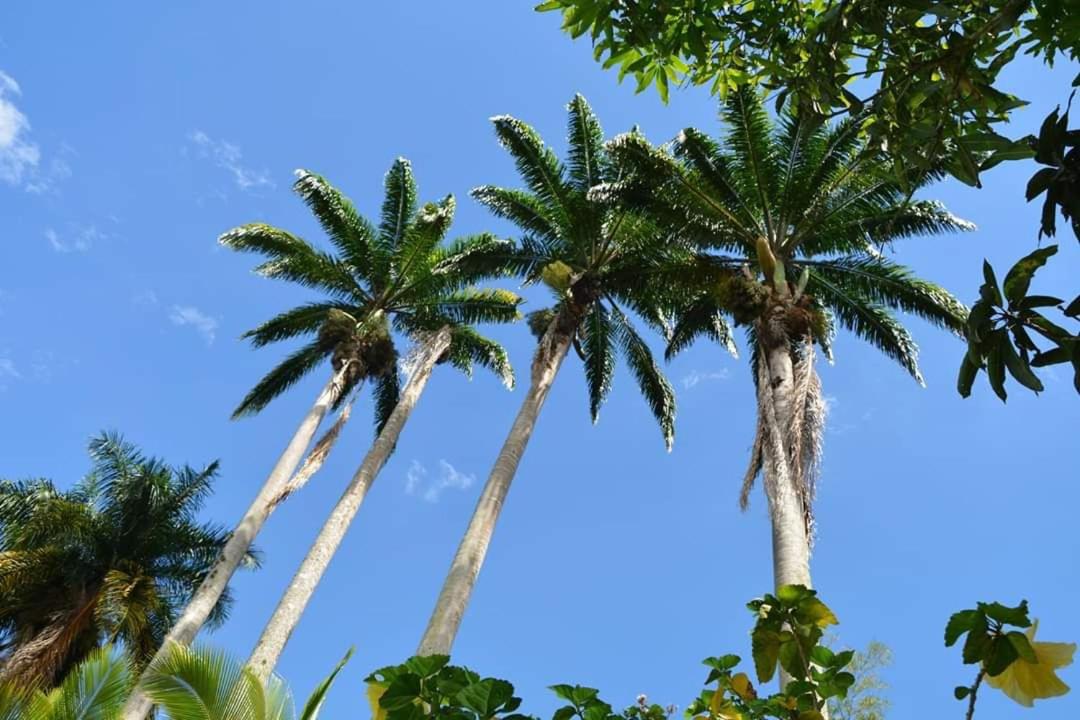 Finca Villa Rosita-Tu Paraíso Campestre cerca de Bogotá