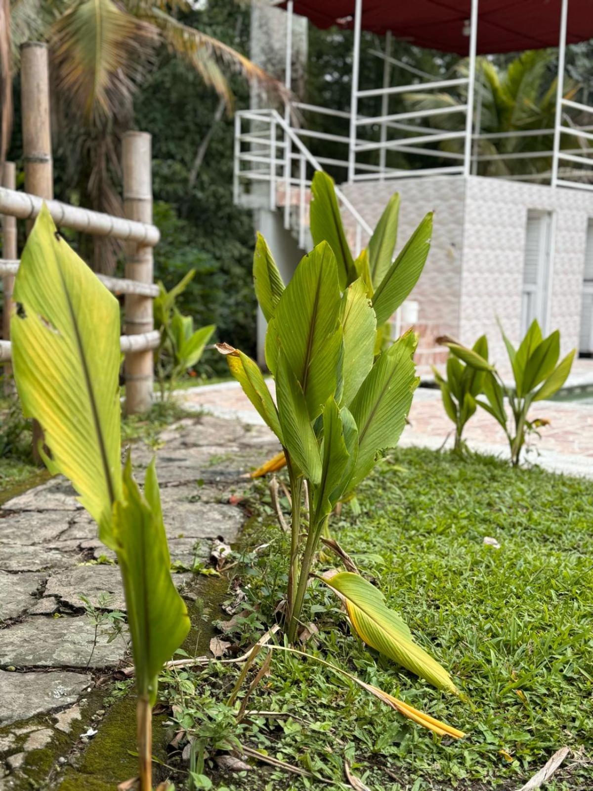 Finca Villa Rosita-Tu Paraíso Campestre cerca de Bogotá