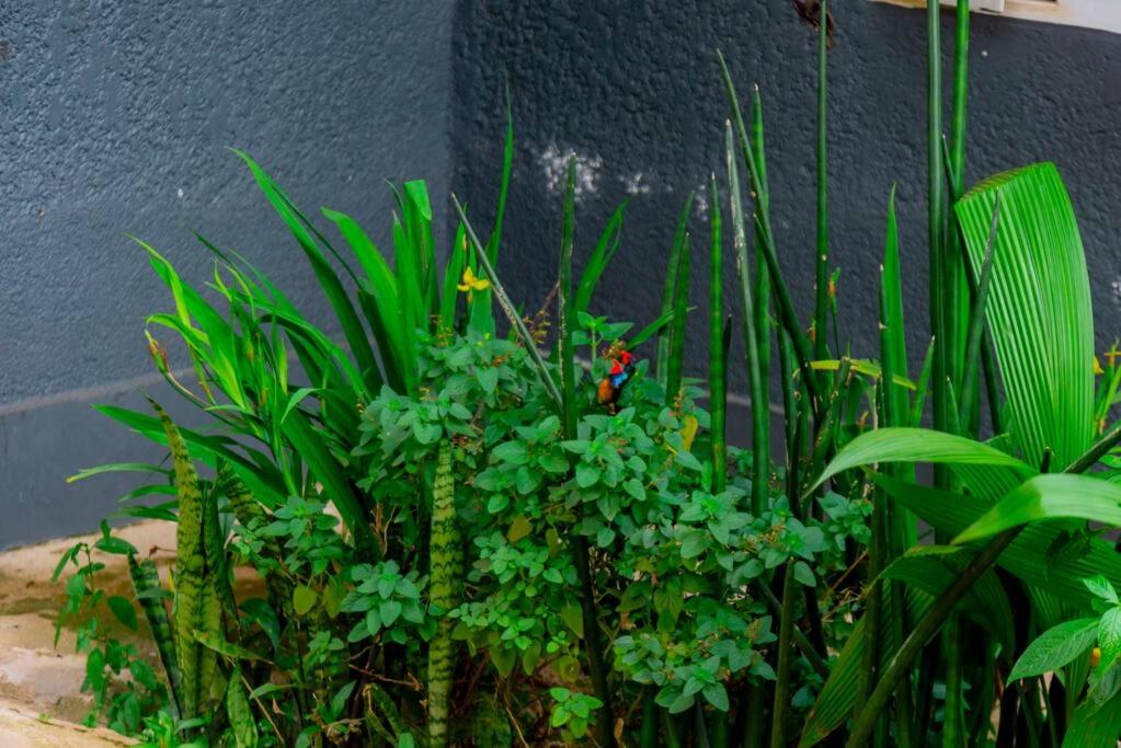 Kigali Beautiful Garden House