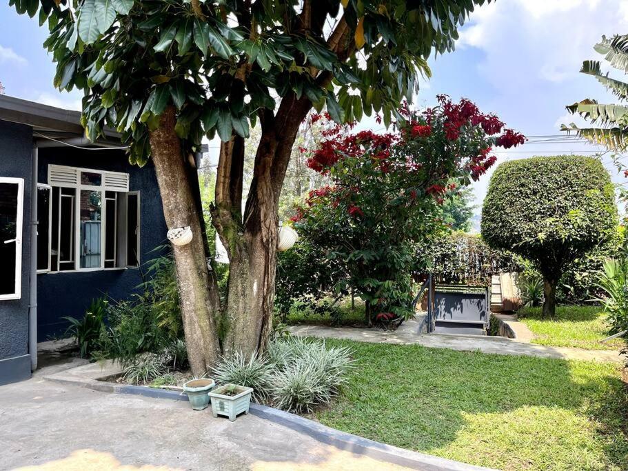 Kigali Beautiful Garden House