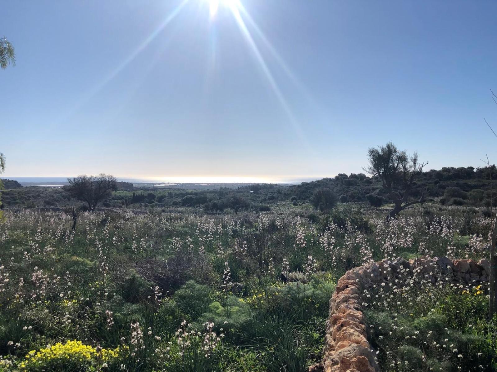 Casa Imayah charming B&B photo 5