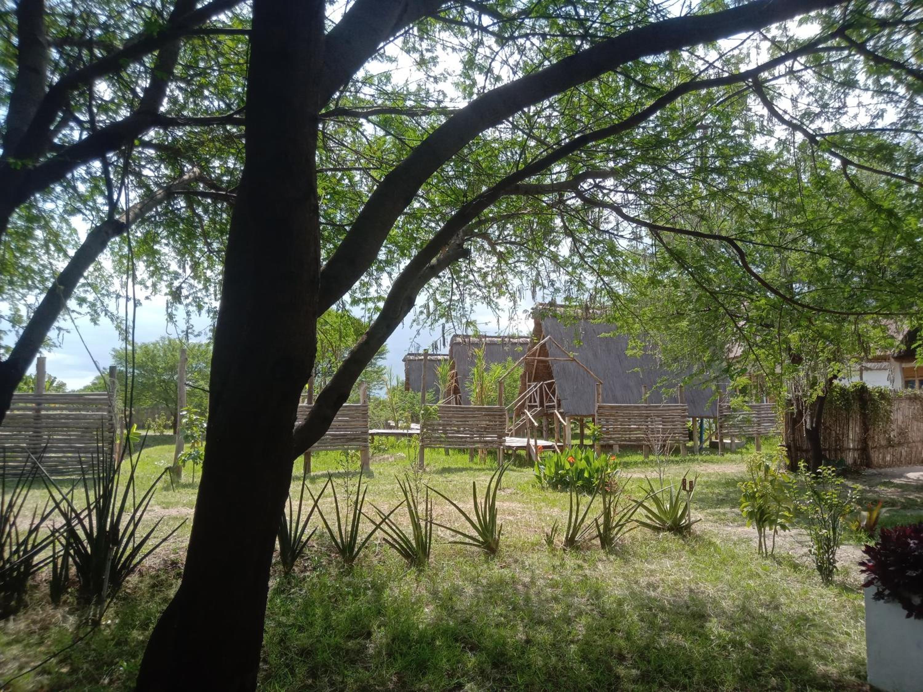Photo 12