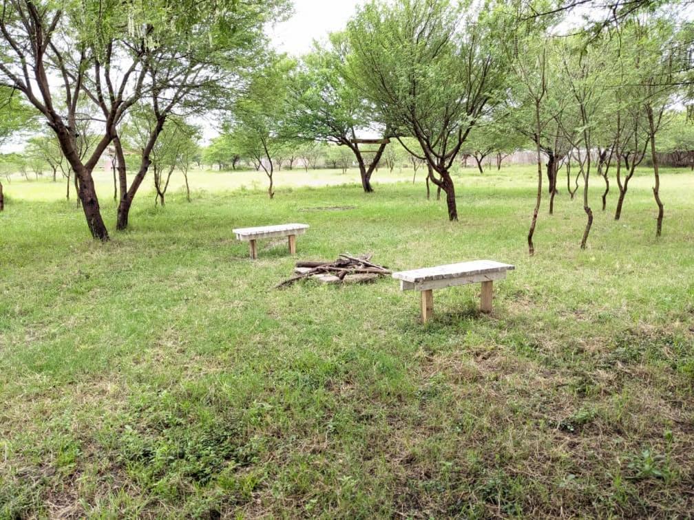 Photo 43