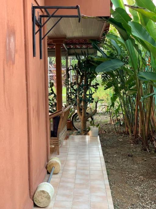 Casita Heliconia