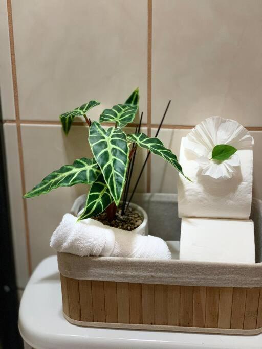 Casita Heliconia