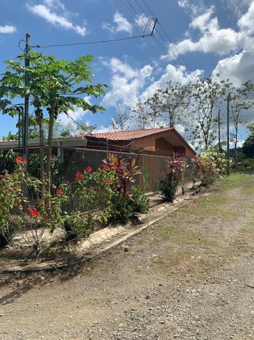 Casita Heliconia