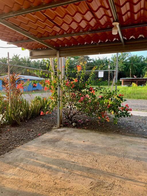 Casita Heliconia