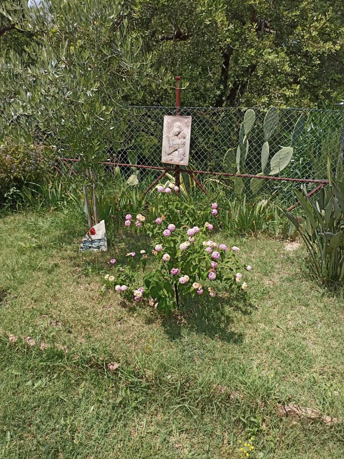Photo 28