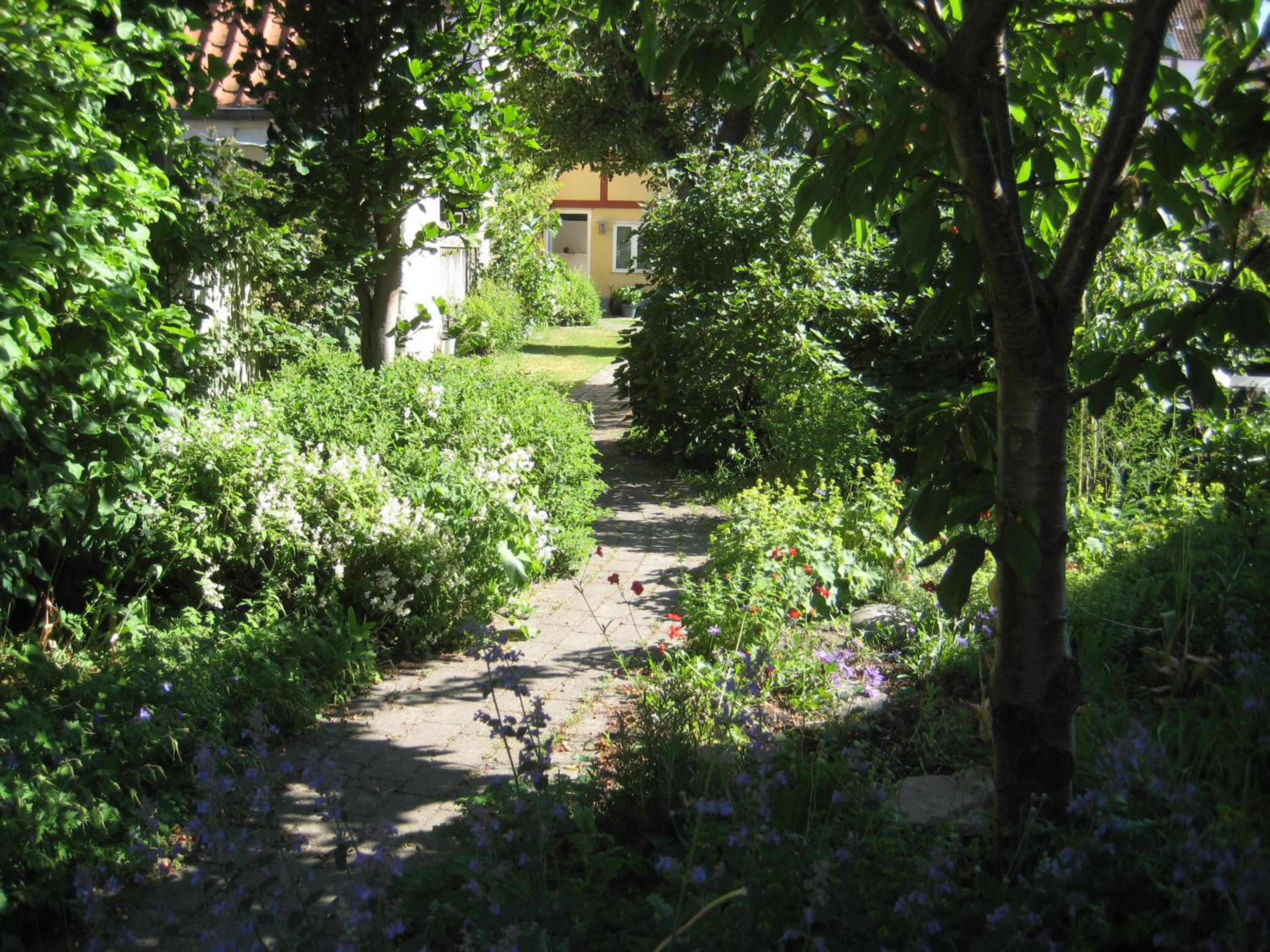 Photo 17