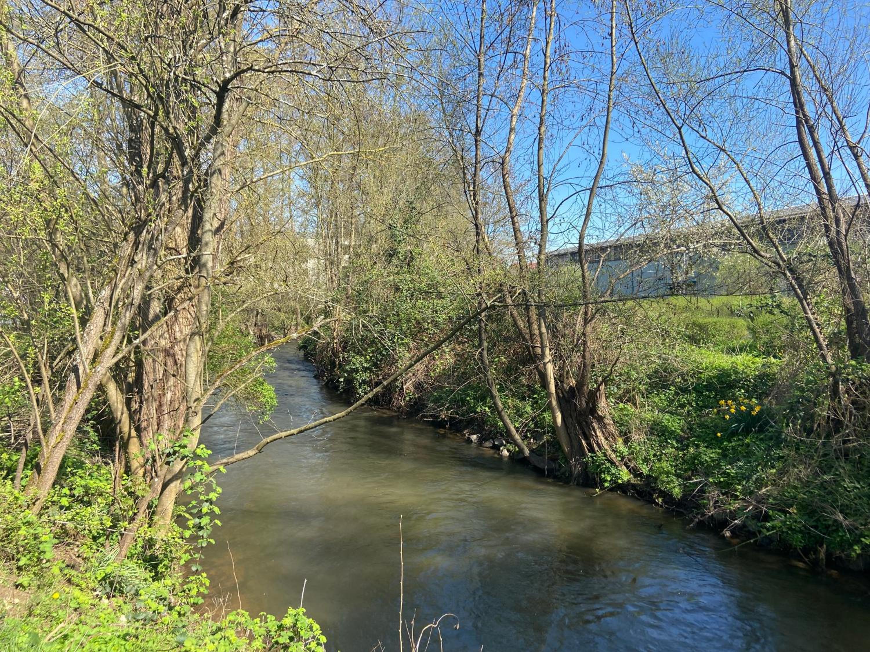 Ferienwohnung am Erbacher Mümlingufer