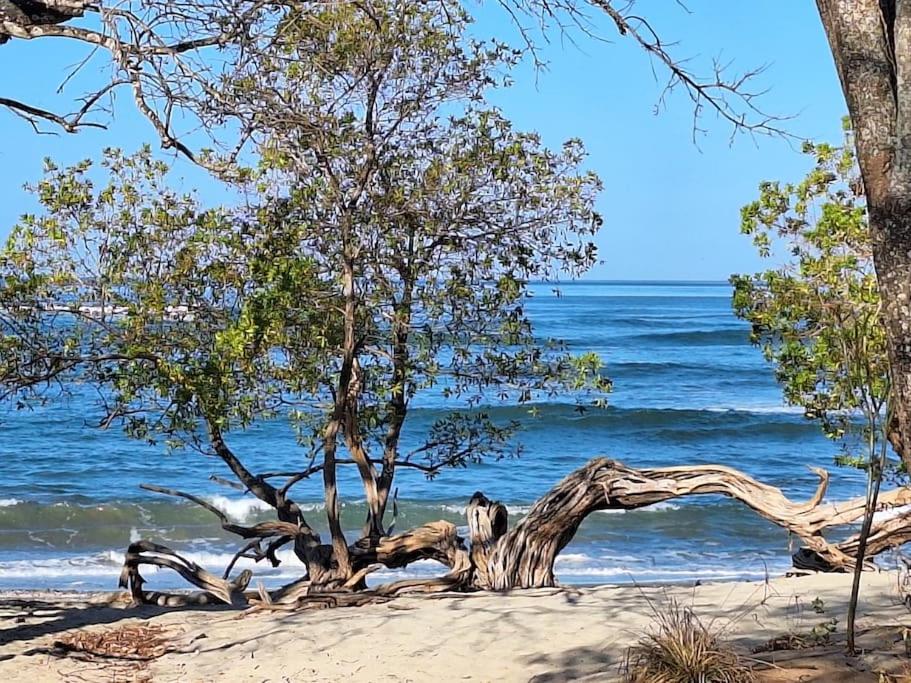 Casa Jungla Playa Avellanas